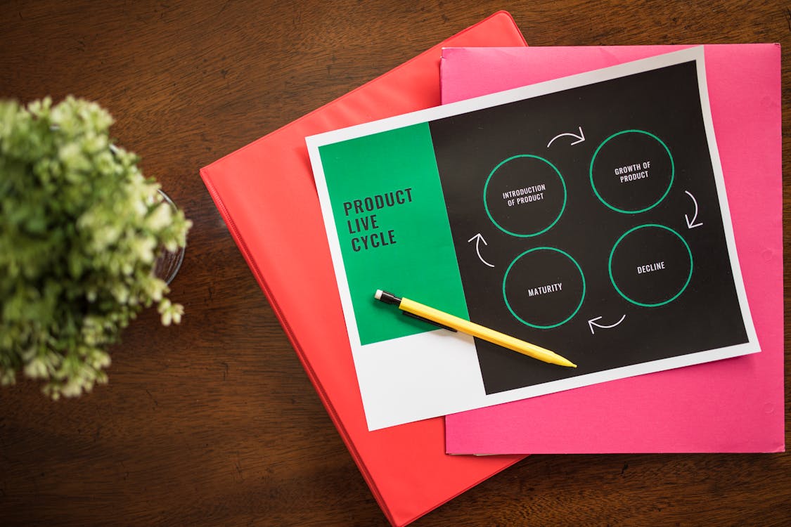 vieses cognitivos decisoes