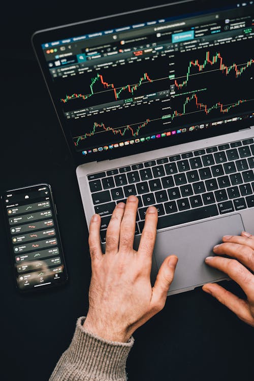 Ações de Dividendos: A Ciência Por Trás da Estratégia de Renda em Bolsa