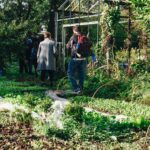 juros-compostos-crescimento